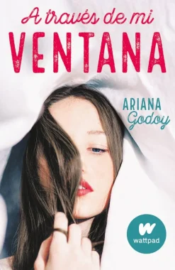 A TRAVES DE MI VENTANA