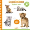 ANIMALES BEBES PEQUEÑOS PASOS