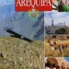 AREQUIPA: LA TERRE DU CONDOR (FRANCES)