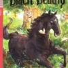 BLACK BEAUTY - HUB TEEN READERS 1 W / AUDIO CD