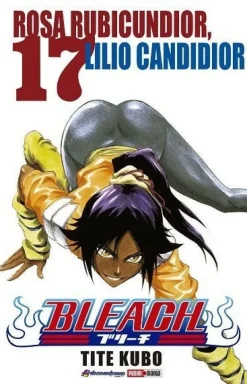 BLEACH N.17