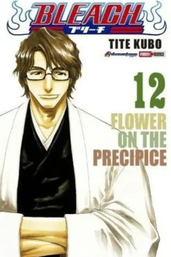 BLEACH N.12