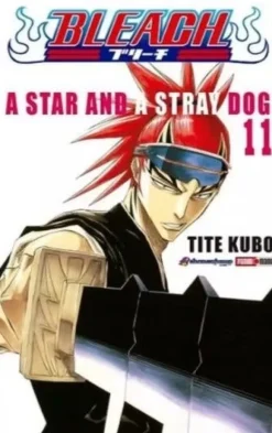 BLEACH N.11