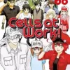 CELLS AT WORK N.6