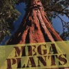 COLLINS BIG CAT INFORM SCIENCE: MEGA PLANTS