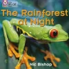 COLLINS BIG CAT PHONICS - THE RAINFOREST AT NIGHT