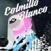 COLMILLO BLANCO