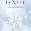 COMO CAE LA NIEVE