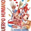 CUERPO HUMANO