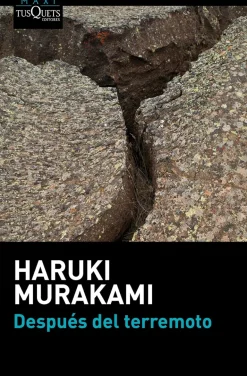 DESPUES DEL TERREMOTO