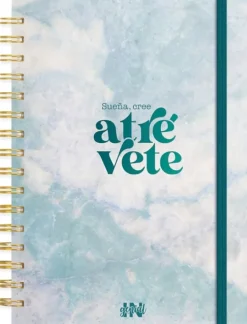 DIARIO PERSONAL INGENIAL CREE