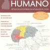 EL CEREBRO HUMANO