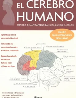 EL CEREBRO HUMANO