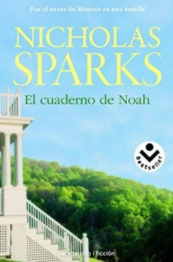 EL CUADERNO DE NOAH