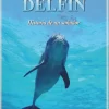 EL DELFIN, LA HISTORIA DE UN SOÑADOR