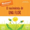 EL NACIMIENTO DE UNA FLOR (VVKIDS)