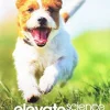 ELEVATE ELEMENTARY SCIENCE 2019 STUDENT EDITION 1-YEAR + DIGITAL COURSEWARE 1-YEAR LICENSE GRADE K