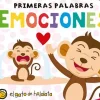 EMOCIONES - LADRILLITOS DE COLORES
