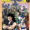 FAIRY TAIL  #  13