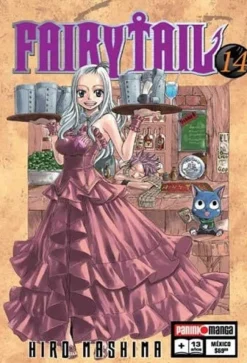 FAIRY TAIL  #  14