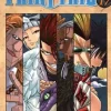 FAIRY TAIL N.17