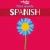 FIRST WORDS - SPANISH [BOARD BOOK]