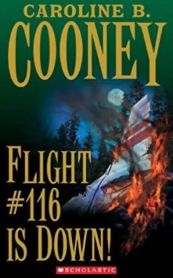 FLIGHT #116 IS DOWN!