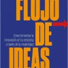 FLUJO DE IDEAS