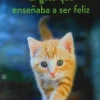 GATO QUE ENSEÑABA A SER FELIZ, EL 2ED