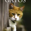 GATOS ANIMALES EN IMAGENES