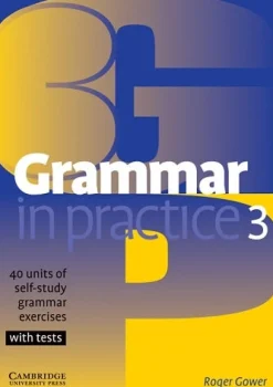 GRAMMAR IN PRACTICE 3