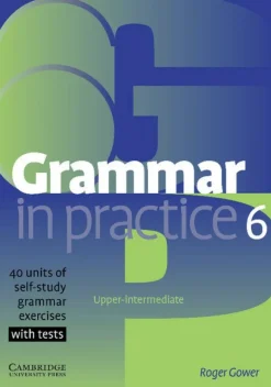 GRAMMAR IN PRACTICE 6