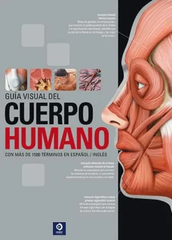 GUIA VISUAL DEL CUERPO HUMANO