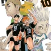 HAIKYU!! (3 IN 1) N.10