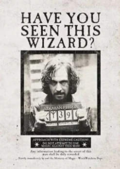 HARRY POTTER: WANTED POSTERS POCKET JOURNAL COLLECTION (SET OF 3)