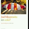JOEL MEYEROWITZ: ¿EN COLOR?