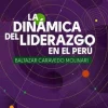 LA DINAMICA DEL LIDERAZGO EN EL PERU. ENERGIA SOCIAL Y DESARROLLO