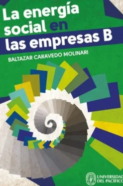 LA ENERGIA SOCIAL EN LAS EMPRESAS B
