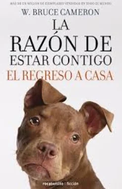 LA RAZON DE ESTAR CONTIGO: EL REGRESO A CASA