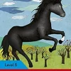 LADYBIRD READERS LEVEL 6 - BLACK BEAUTY