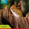 LADYBIRD READERS LEVEL 5 - BBC EARTH: LITTLE SURVIVORS