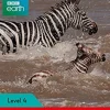 LADYBIRD READERS LEVEL 4 - BBC EARTH: DANGEROUS JOURNEYS