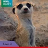 LADYBIRD READERS LEVEL 3 - BBC EARTH: WHERE ANIMALS LIVE