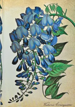LIBRERTA TAPA DURA MINI BLOOMING WISTERIA