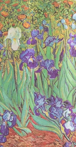 LIBRETA DELGADA TAPA DURA VAN GOGH´S IRISES