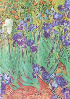 LIBRETA TAPA DURA GRANDE VAN GOGH’S IRISES