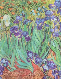LIBRETA TAPA DURA MEDIANA  VAN GOGH’S IRISES