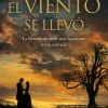 LO QUE EL VIENTO SE LLEVO