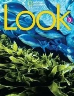 LOOK (BE) 3 WORKBOOK