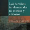 LOS DERECHOS FUNDAMENTALES NO ESCRITOS Y ANÁLOGOS